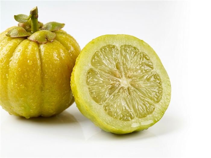 Garcinia cambogia brindle berry-frugt brugt i Hinuki gelé-sticks
